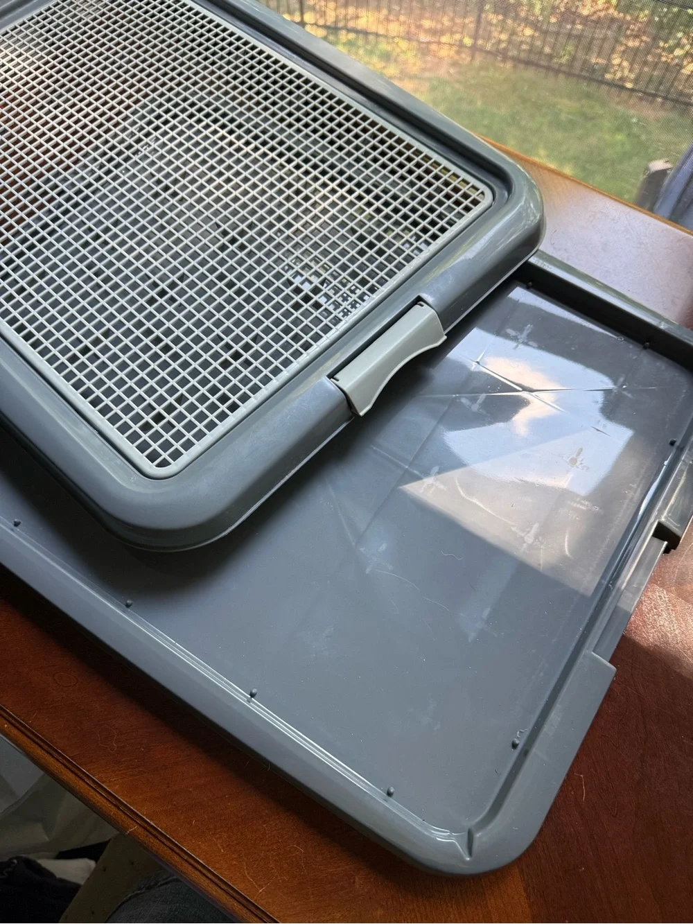 Gray Dog Housebreaking Tray with Removable Grid - by PetSmart